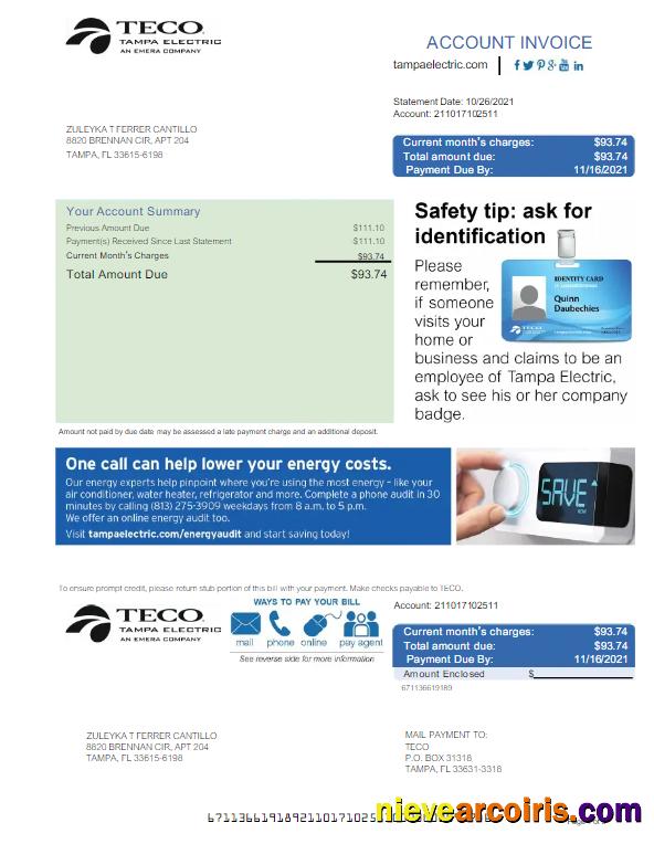Premium USA TECO Utility Bill Word And PDF Template