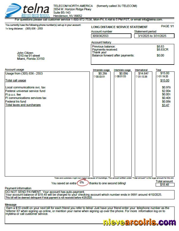 Professional USA Telna Utility Bill Template In Word And PDF Formats