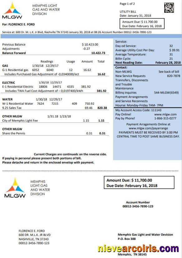 Realistic USA Tennessee MLGW Utility Bill Template In Word And PDF Format