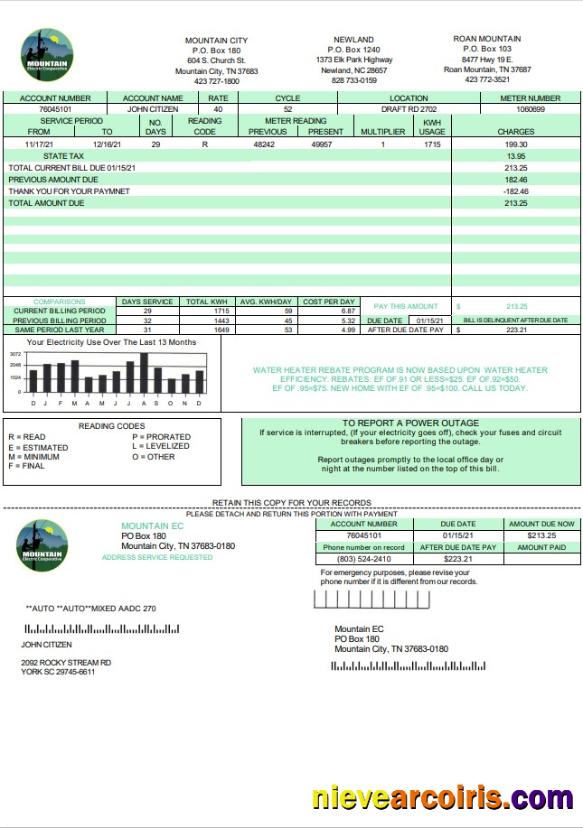 Premium USA Tennessee Mountain Electric Cooperative, Inc. (MEC) Utility Bill Template In Word And PDF Format