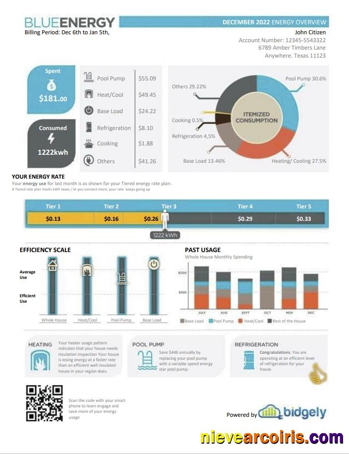 Professional USA Texas Blue Energy Utility Bill, Word And PDF Template