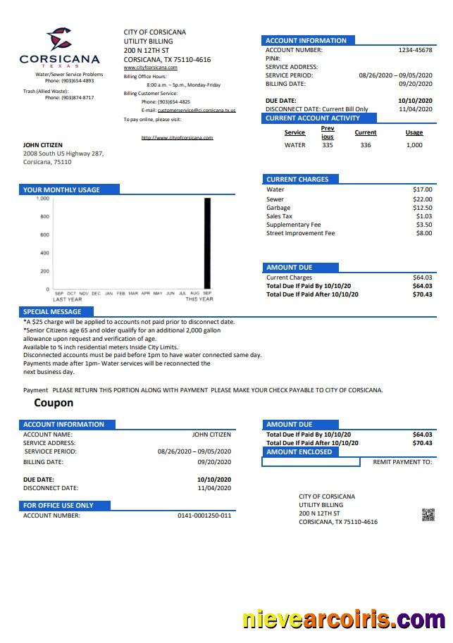 Professional USA Texas City Of Corsicana Utility Bill Template In Word And PDF Format