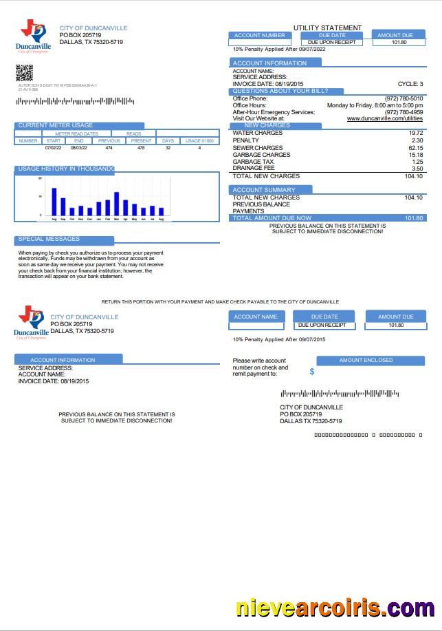 Premium USA Texas City Of Duncanville Utility Bill Template In Word And PDF Format