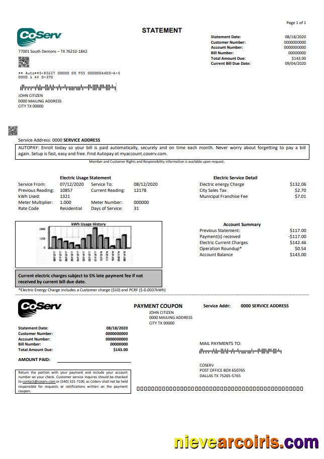 Premium USA Texas CoServ Utility Bill Template In Word And PDF Format
