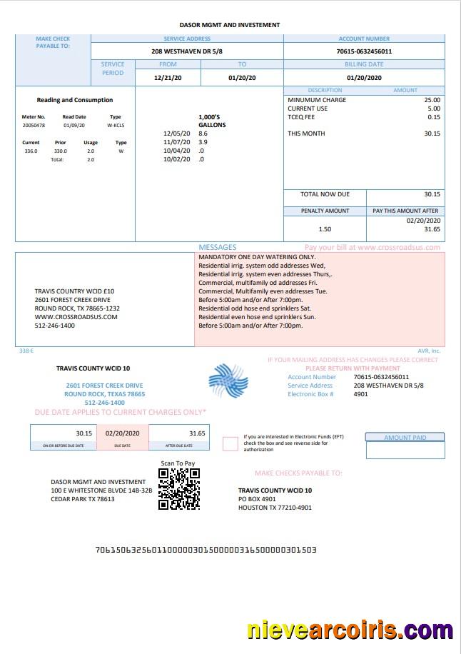 Professional USA Texas Dasor Management And Investment Utility Bill Template In Word Nd PDF Format