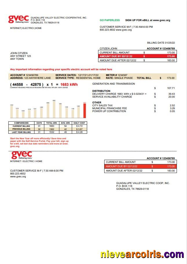 Professional USA Texas GVEC Utility Bill Template In Word And PDF Format