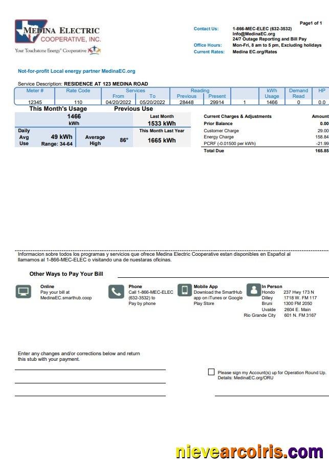 Realistic USA Texas Medina Electric Utility Bill Template In Word And PDF Format