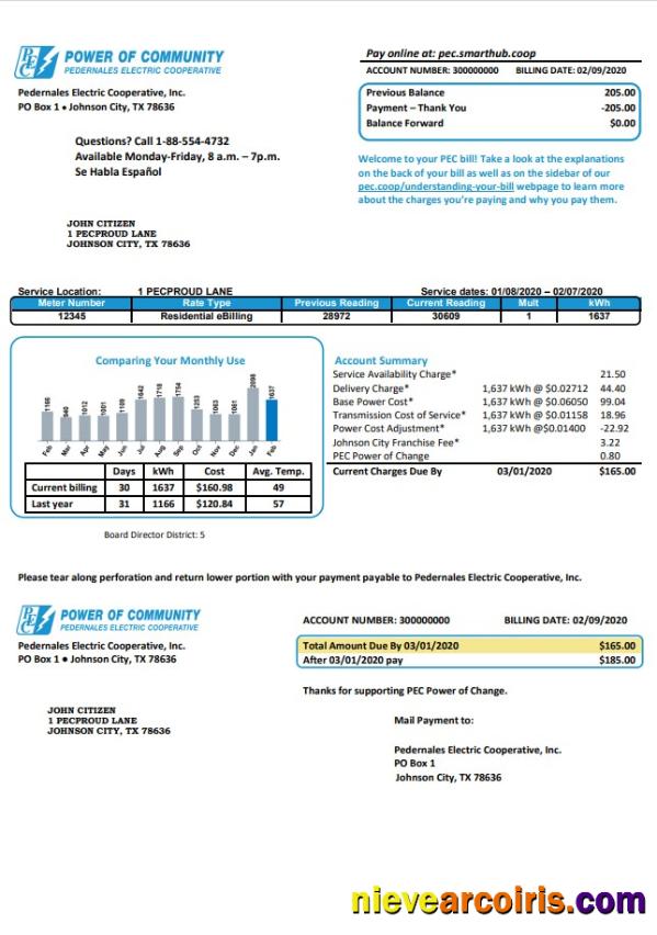 USA Texas Power Of Community Electricity Utility Bill In Word And PDF Format, Good For Address Prove Photolook