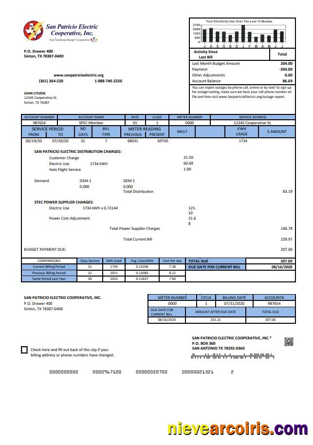 Editable USA Texas San Patricio Electric Corporative Utility Bill Template In Word And PDF (.doc And .pdf) Format