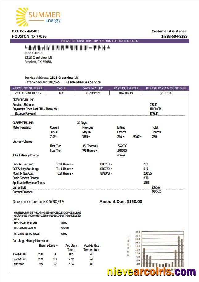 Professional USA Texas Summer Energy Easy Fillable Utility Bill Template In Word And PDF Format