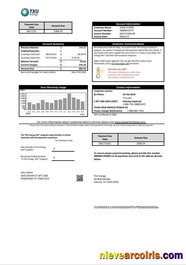 Realistic USA Texas TXU Energy Utility Bill Template In Word And PDF Format