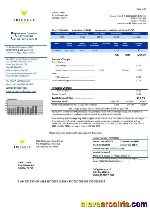 Professional USA Texas TriEagle Utility Bill Template In Word And PDF (.doc And .pdf) Format