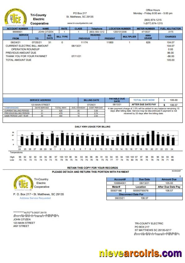 Professional USA Tri County Electric Cooperative Utility Bill Template In Word And PDF Format