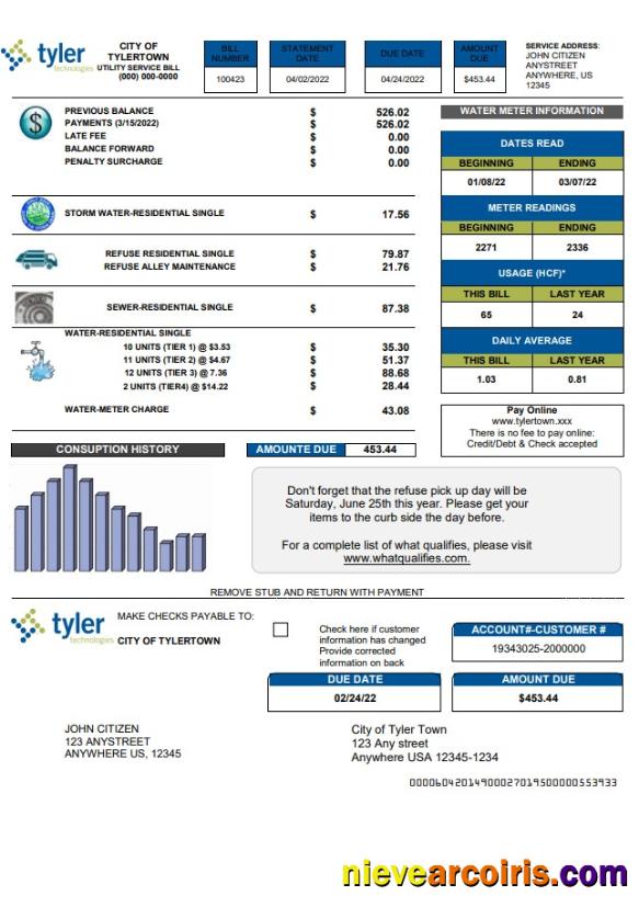 Professional USA Tyler Technologies Utility Bill Template In Word And PDF Format
