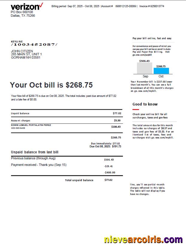 Professional USA Verizon Utility Bill Template In Word And PDF Formats, Version 3