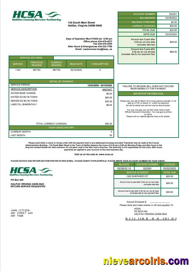 Editable USA Virginia HCSA Utility Bill Template In Word And PDF Format