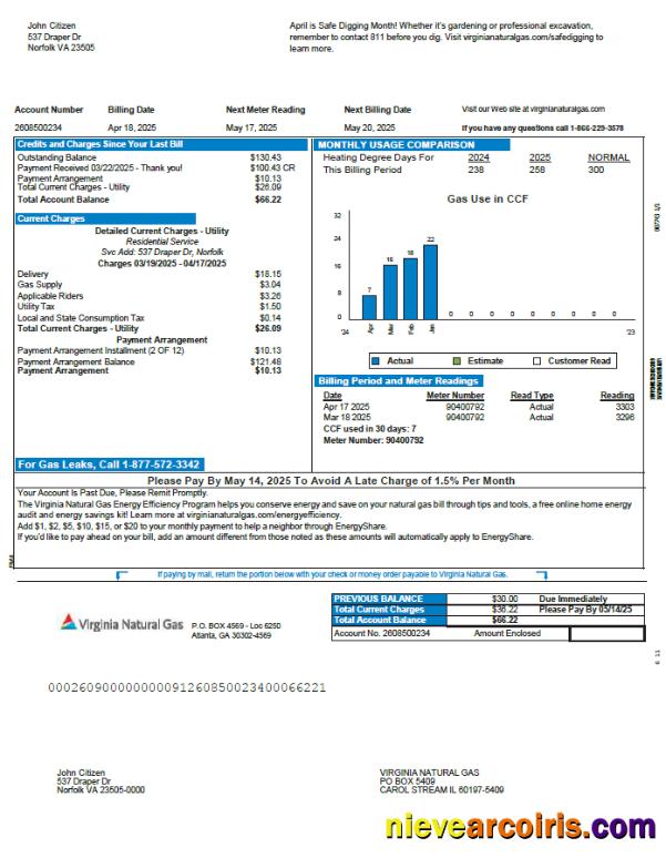 Premium USA Virginia Natural Gas Utility Bill Template In Word And PDF Formats