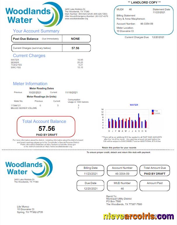 Editable USA WOODLANDS WATER Utility Bill Word And PDF Template