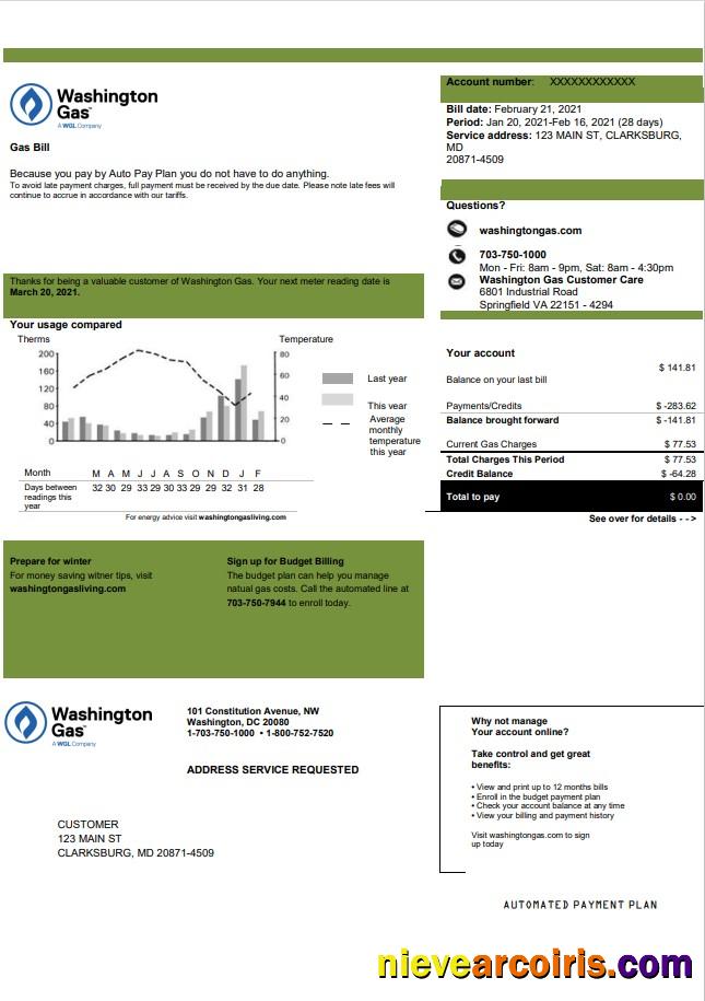 Professional USA Washington Gas (WGL) Utility Bill Template In Word And PDF Format