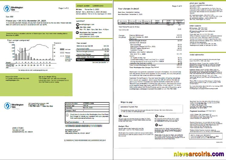 Premium USA Washington Gas Utility Bill Template In Word And PDF Formats, 2 Pages