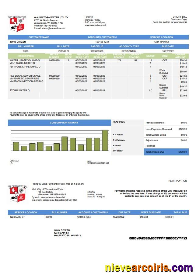 Realistic USA Wawatosa Water Utility Utility Bill Template In Word And PDF Format