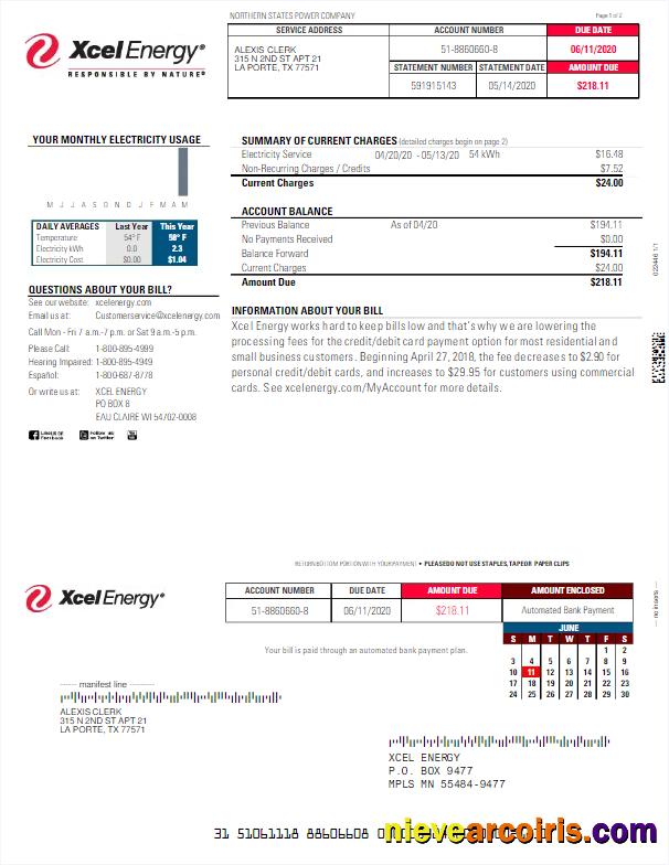 Professional USA XCEL ENERGY Utility Bill Word And PDF Template
