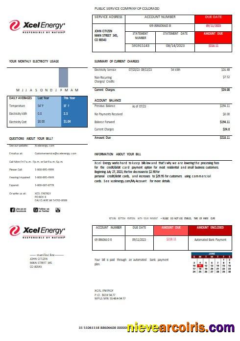 USA XcelEnergy Electric Utility Bill Word And PDF Formats Photolook