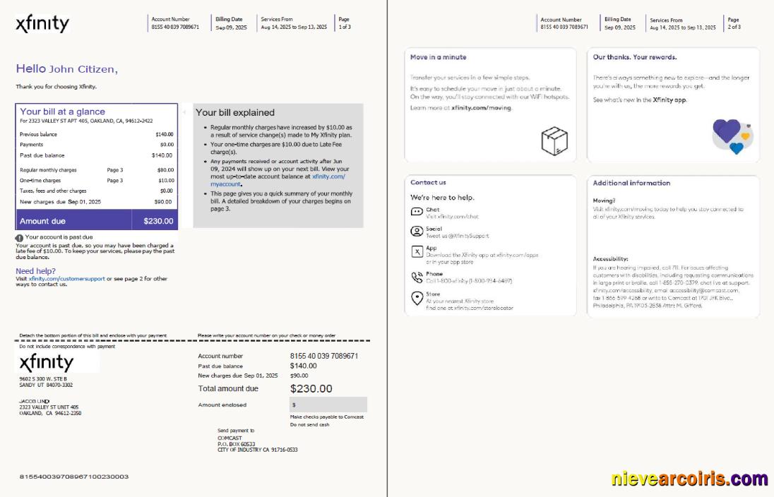 Professional USA Xfinity Utility Bill Template In Word And PDF Formats, 3 Pages, Version 3, 1 2 Pages