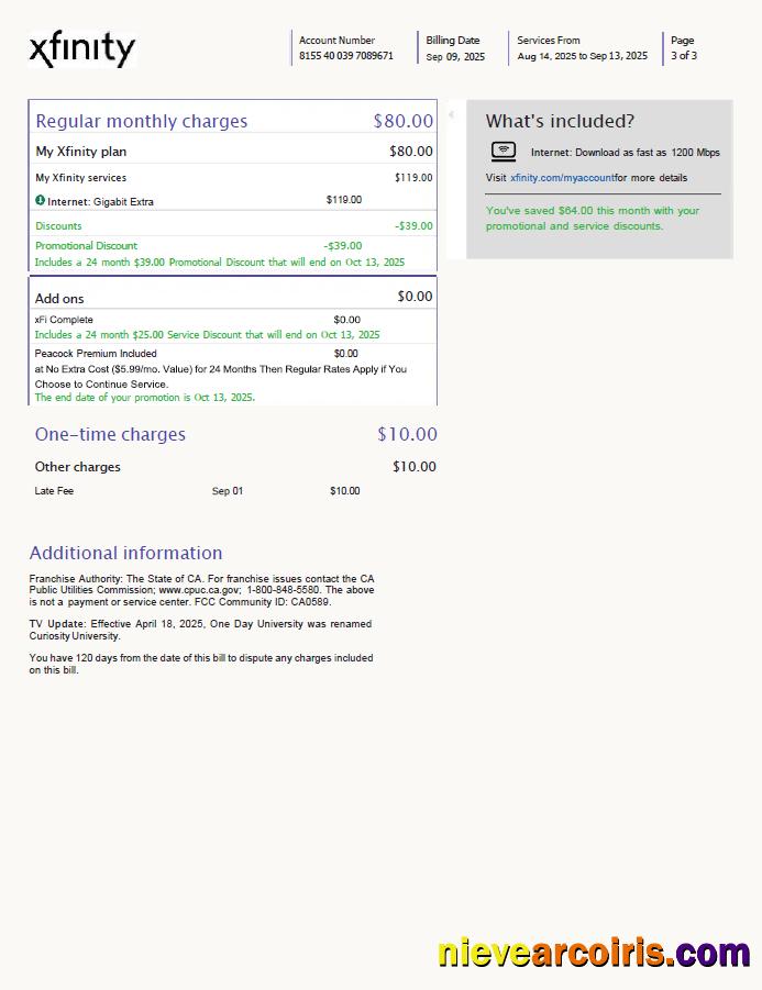 Premium USA Xfinity Utility Bill Template In Word And PDF Formats, 3 Pages, Version 3, 3rd Page