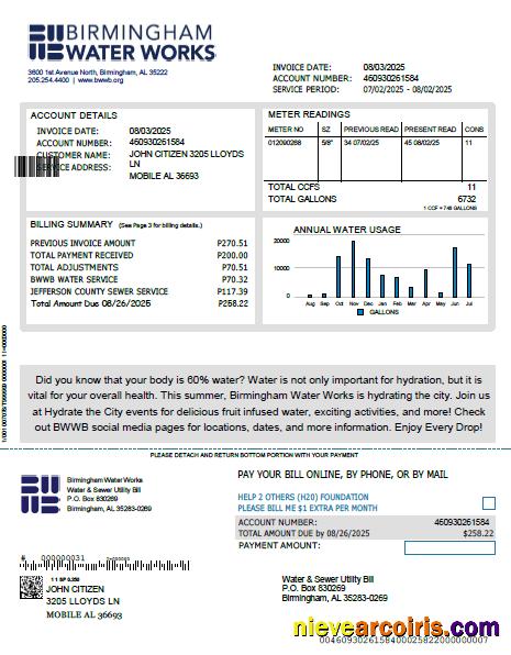 Realistic United Kingdom Birmingham Water Utility Bill Template In Word And PDF Formats, Version 2