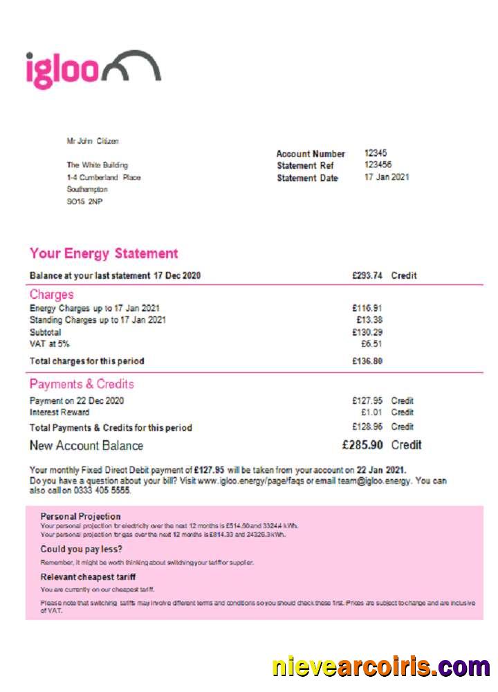 Realistic United Kingdom Igloo Energy Utility Bill Template In Word And PDF Format