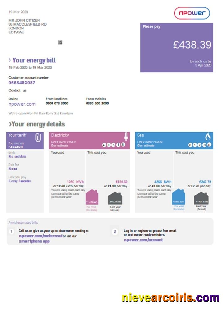 Professional United Kingdom Npower Utility Bill Template In Word And PDF Format