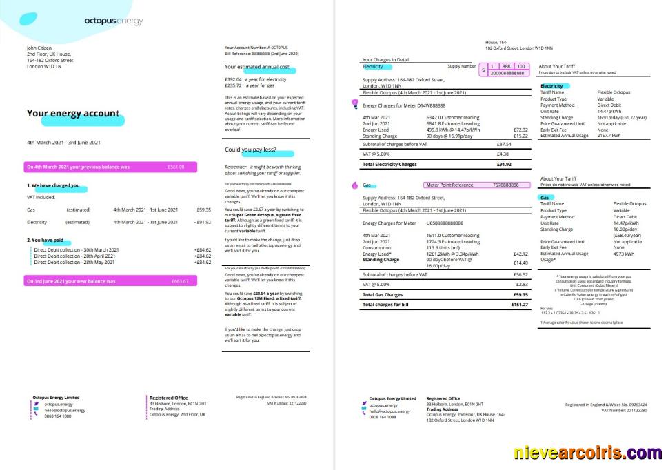 Premium United Kingdom Octopus Energy Utility Bill Template In Word And PDF Format, 3 Pages 1 2