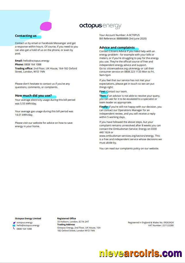 Professional United Kingdom Octopus Energy Utility Bill Template In Word And PDF Format, 3 Pages 3