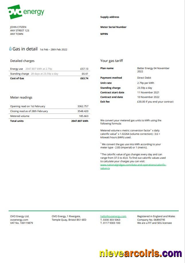 Editable United Kingdom Ovo Energy Utility Bill, Word And PDF Template
