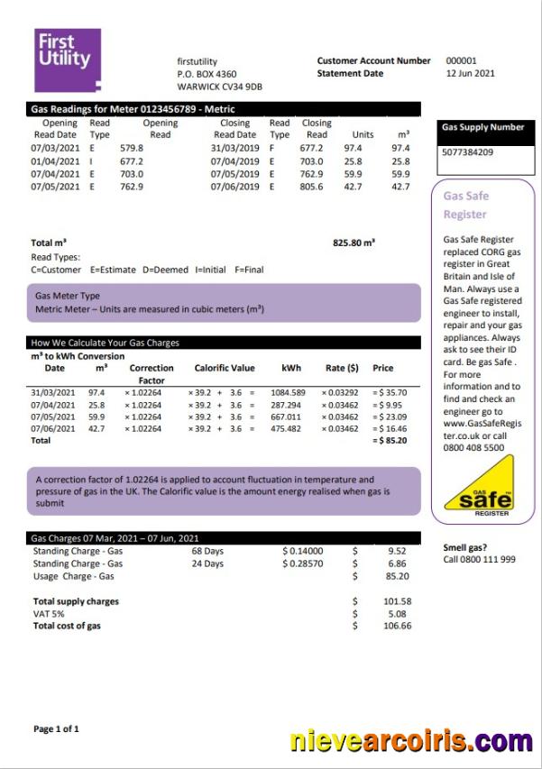 Realistic United Kingdom Warwick First Utility Bill Template In Word And PDF Format