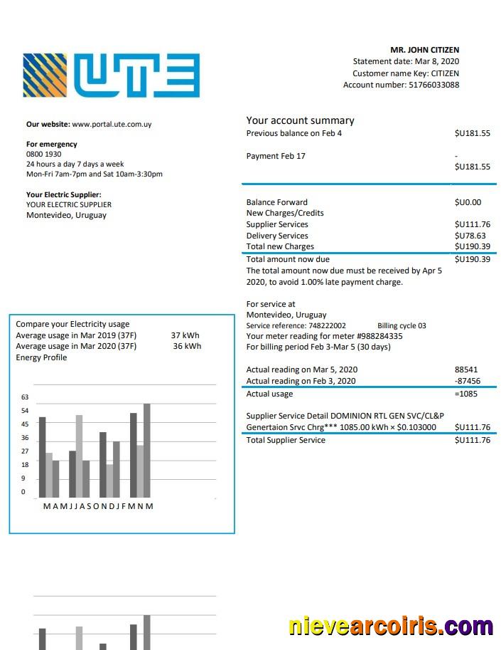 Premium Uruguay UTE Company Electricity Utility Bill Template In Word And PDF Format