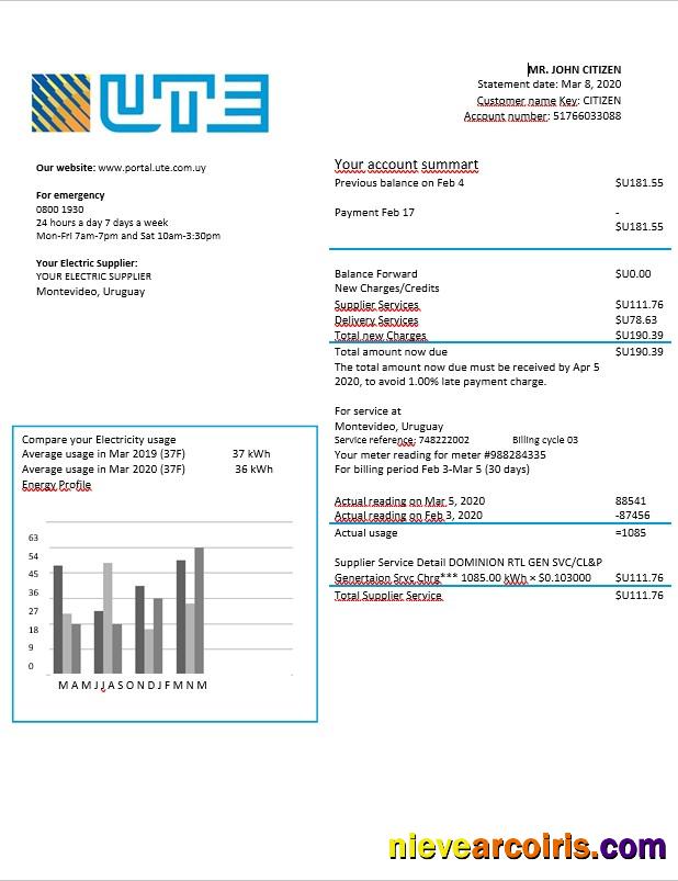 Uruguay UTE Electricity Bill In Word Format Photolook