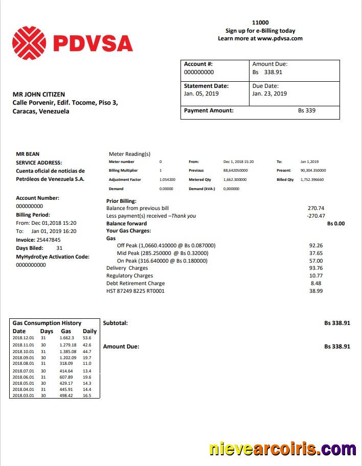 Realistic Venezuela PDVSA Gas Utility Bill Template In Word And PDF Format